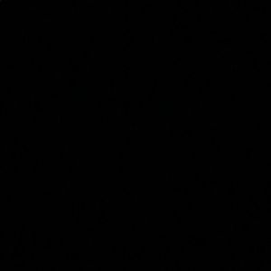 Meet your Posher, Jaden